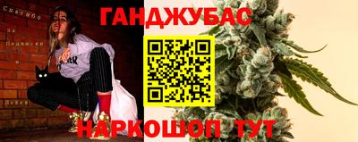 сатива Будённовск