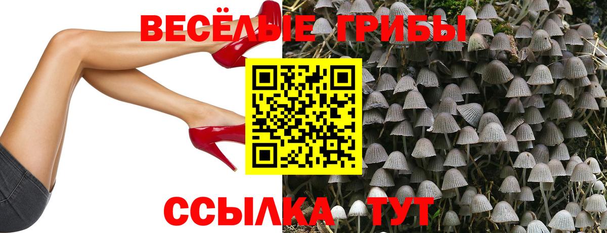 Галлюциногенные грибы мицелий  Вход с VPN  Сунжа  Псилоцибиновые грибы ЛСД 
