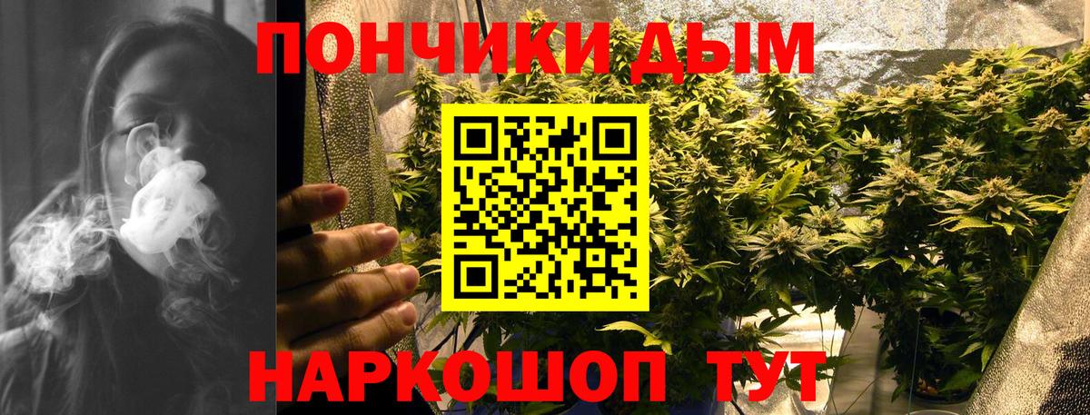 Сунжа  Марихуана индика  Вход с VPN  Конопля марихуана 